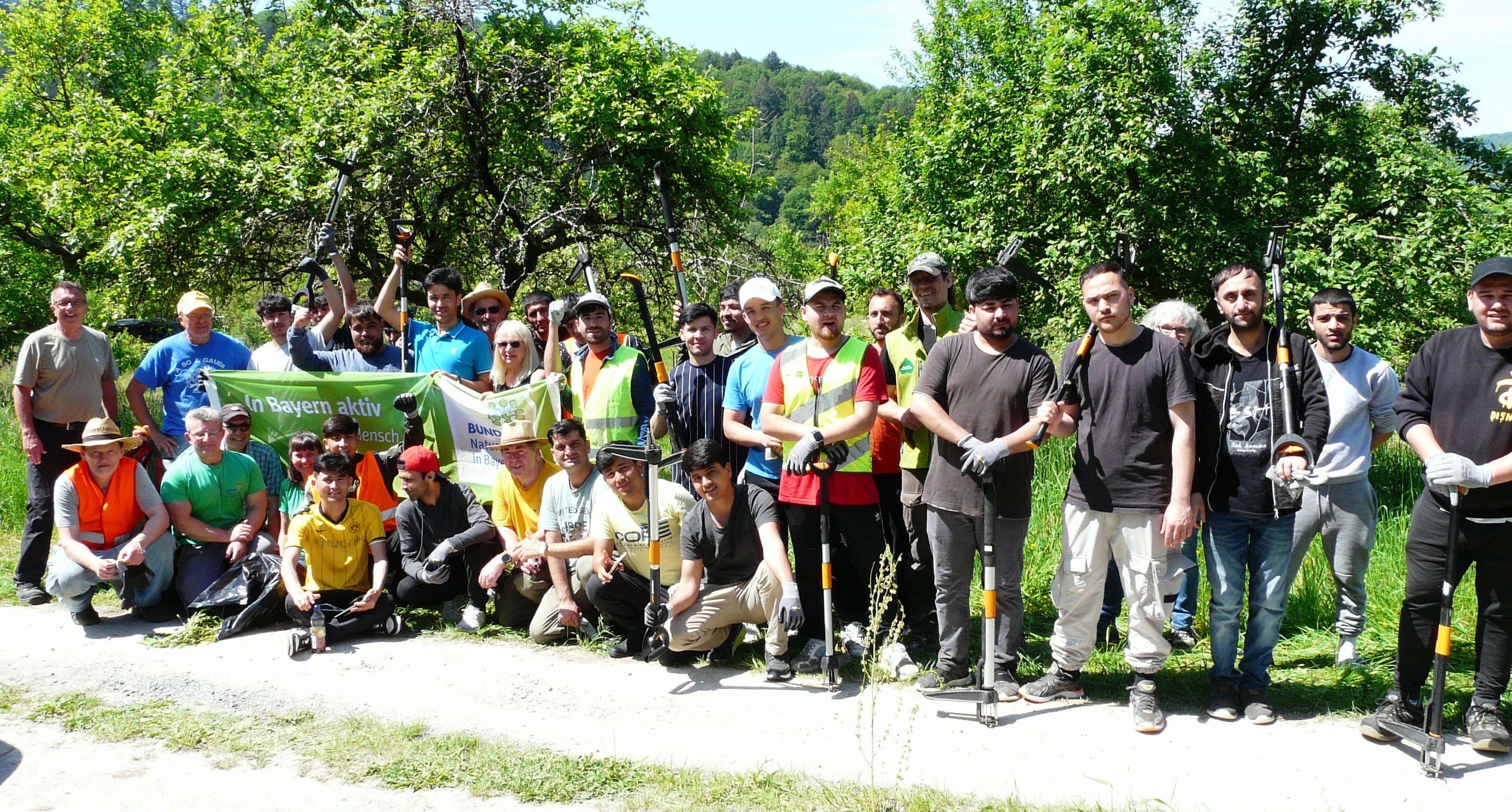 Mit Integration gegen Problempflanzen: 40 Freiwillige beseitigen das giftige Jakobskreuzkraut bei Kreuzwertheim